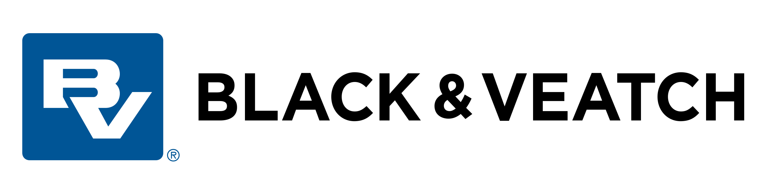 logo-blackveatch